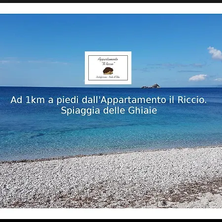 Il Riccio Apartment